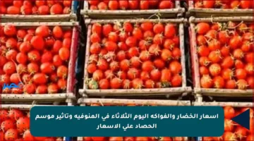 أسعار الخضار والفواكه اليوم الثلاثاء في المنوفية وتأثير موسم الحصاد على الأسعار
